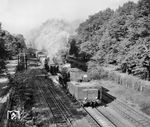 Die mit Steifrahmentender ausgestattete 52 2093 (Henschel, Baujahr 1942) und zum Aufnahmezeitpunkt zum Bw Engelsdorf gehörende Lok mit einem Güterzug in Borsdorf nahe Leipzig. (14.09.1964) <i>Foto: Jörg Schulze</i>