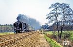 Nicht minder dynamisch kachelt 01 2029 mit dem D 925 von Berlin nach Dresden bei Golßen (Niederlausitz) vorbei. (04.1976) <i>Foto: Karsten Risch</i>