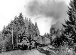Zwischen Lippelsdorf und Schmiedefeld kämpft sich 95 0040 mit P 18005 bergan. Auf einer Streckenlänge von nur 3 km sind hier 100 m Höhenunterschied zu überwinden. (01.05.1980) <i>Foto: Karsten Risch</i>