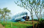 03 001 im Plandampfeinsatz mit dem E 800 nach Leipzig bei Neustadt/Orla. (06.05.1992) <i>Foto: Klaus D. Holzborn</i>