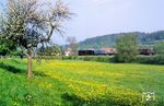 Durch den Frühling im Hörseltal rollt 44 1093 mit Dg 55532 (Erfurt - Bebra) in Richtung Eisenach bei Sättelstädt vorbei. (08.05.1993) <i>Foto: Hans-Dieter Jahr</i>
