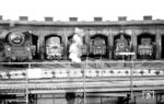 Das Bw Wittenberge gehörte einst zu den größten Bahnbetriebswerken der Deutschen Reichsbahn. Bereits 1846 nahm die Berlin-Hamburger Eisenbahn (BHE) den ersten Lokschuppen, den heutigen Schuppen III, in Betrieb. 1872 folgte eine Rotunde mit 18 Gleisen und einer in der Mitte liegenden Drehscheibe (später Schuppen I). Zwischen diesen beiden Lokschuppen entstand 1889 ein Ringlokschuppen, der hier zu sehen ist. Dort haben sich 50 4001, 44 221, 03 042, 62 012, 94 602 (alle Bw Wittenberge) und 50 4008 (Bw Hagenow Land) versammelt. (03.09.1967) <i>Foto: Klaus Kieper, Slg. Holzborn</i>