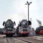 01 516 und 03 096 im Bw Berlin Ostbf. Rechts steht 93 413. 1977 fand 01 516 durch einen Kesselzerknall in Bitterfeld ein unrühmliches Ende. (06.05.1967) <i>Foto: Klaus D. Holzborn</i>