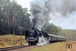 Bevor 01 2204 in den Westen verkauft werden sollte, kam die Lok völlig überraschend nochmals an der Ostseeküste beim Bw Wismar zum Einsatz. Am 8. Mai 1982 verabschiedete sie sich vor dem "Frühlingssonderzug des Modellbahnverbandes Schwerin", der hier bei Karow (Meckl) einen Fotohalt einlegt. Am 23. Juli 1982 wurde sie zusammen mit den Lokomotiven 50 3014, 52 1423 und 52 2093 über Gerstungen nach Westdeutschland überführt. (08.05.1982) <i>Foto: Andreas Höfig</i>