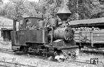 Die Lokomotive "DIANA" der Waldeisenbahn Muskau wurde 1912 von Borsig gebaut. Sie erhielt 1951 nach der Übernahme der Waldeisenbahn durch die Deutsche Reichsbahn die Betriebsnummer 99 3312 (Aufnahme in Krauschwitz). Die Lokomotive ist noch heute betriebsfähig erhalten. Die Waldbahn entstand 1895, als der Muskauer Standesherr Graf Hermann von Arnim zur Erschließung der Wälder und Rohstoffvorkommen im Umfeld von Muskau und Weißwasser eine Pferdebahn mit einer Spurweite von 600 mm anlegen ließ. Außerdem sollten damit die entstandenen Industriebetriebe (Braunkohlegruben, Ziegeleien, Sägewerke, Papierfabriken und Glashütten) an das Bahnnetz angeschlossen werden. Schon im Entstehungsjahr wurden die ersten beiden Dampfloks angeschafft. Bis zur Jahrhundertwende wuchs das Gleisnetz auf etwa 50 km. (05.07.1976) <i>Foto: Hans-Jürgen Trunk</i>