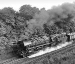 Die 1941 in Dienst gestellte 44 504 erhielt am 30.04.1965 ihre Ölhauptfeuerung. Mit der Umstellung auf das EDV-Nummernsystem (bei der DR im Jahr 1970) erhielt sie die Betriebsnummer 44 0504-9. Vor dem Leergüterzug Lgg 58813 aus Wismar ist die Sangerhausener Maschine zwischen Güsten und Sandersleben unterwegs.  (07.09.1981) <i>Foto: Joachim Schmidt</i>