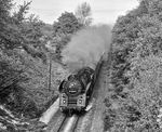 Der P 3025 mit der Saalfelder 01 0510 zwischen Weida und Niederpöllnitz. (09.10.1981) <i>Foto: Joachim Schmidt</i>