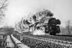 01 0504 (Bw Wittenberge) mit D 337 aus Hamburg zwischen Berlin-Wannsee und -Nikolassee. (04.1975) <i>Foto: Karsten Risch</i>