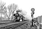 01 0508 mit D 1332 nach Hamburg am Hüttenweg neben der Avus in Berlin-Grunewald. (02.1975) <i>Foto: Karsten Risch</i>
