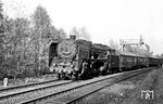 01 2014 (Bw Wittenberge) mit D 164 auf dem Weg nach Hamburg kurz vor Berlin-Griebnitzsee. Die Fotostelle wurde bei den Berliner Eisenbahnfreunde "Beim Hühnerhugo" genannt, da sich der kommunikative Bewohner eines Bahnwärterhauses hier einige Hühner hielt.  (1971) <i>Foto: Werner Eggebrecht</i>