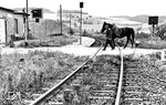 Szene auf der Überwaldbahn Mörlenbach - Wald-Michelbach am Haltepunkt Kreidach. (1965) <i>Foto: Kopetzky</i>