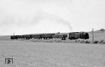 Der nächste Güterzug mit 99 231 ist bei Brünn nach Schönbrunn unterwegs. (01.07.1968) <i>Foto: Wolfgang Bügel</i>
