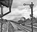 03 2117 fährt mit D 443 (Köln - Dresden) durch Demker südlich von Stendal. Der Dampfeinsatz erfolgte anlässlich des Jubiläums "50 Jahre Baureihe 03" in der Rbd Magdeburg. (13.07.1980) <i>Foto: Joachim Schmidt</i>