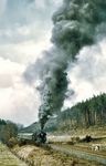 Ein paar Probleme scheint die Erfurter 01 533 mit dem D 207 auf der Steigung von Bebra nach Hönebach zu haben.  (27.03.1970) <i>Foto: Robin Fell</i>