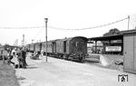 Im Bahnhof Neubrandenburg steht am Bahnsteig 6 eine ansehliche Personenzuggarnitur nach Friedland (Meckl). Ursprünglicher Betreiber der Strecke war die Neubrandenburg-Friedländer Eisenbahn-Gesellschaft. Der Personenverkehr auf der Bahn wurde am 14. Januar 1994 eingestellt, der Güterverkehr beschränkt sich seit 1995 auf den Abschnitt Neubrandenburg Vorstadt–Friedland.  (18.08.1966) <i>Foto: Gerd Wolff</i>