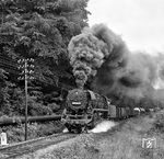 44 0398 vom Bw Wittenberge absolviert ihre Lastprobefahrt mit einem Güterzug aus Grimmenthal kurz vor Suhl. Ein halbes Jahr später war sie erneut im Raw Meiningen und wurde auf Kohlefeuerung zurückgebaut.  (09.06.1981) <i>Foto: Joachim Schmidt</i>