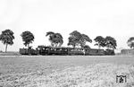 Der von 99 3462 geführte P 9193 nach Anklam benötigte an diesem Tag noch mehr Zeit als sonst, da er für die mitfahrenden Eisenbahnfreunde aus dem Westen etliche zusätzliche Fotohalte einlegen musste, wie hier bei Gellendin. (18.08.1966) <i>Foto: Gerd Wolff</i>