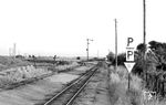 Die Streckenführung der MPSB bei Anklam. Rechts das Gleis nach Friedland, links das bereits stillgelegte Gleis nach Leopoldshagen, ganz links die Doppelmasten an der Hauptstrecke Pasewalk - Stralsund. (18.08.1966) <i>Foto: Gerd Wolff</i>