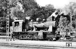 91 6488 vom Typ ELNA 5 (Henschel, Baujahr 1930, ex Pyritzer Krb. 52) im Bahnhof Barth. Die ELNA-Loks der Typen 2 und 5 waren nach 1945 typisch für die Strecken Velgast - Tribsees und Neu Seehagen - Franzburg, aber auch für Velgast - Barth und den Rangierdienst in Barth. Bekannte Barther ELNA-Loks waren 91 6279, 91 6280, 91 6283, 91 6487, 6488, 6489 und 6490, kurz vor Schluss kamen noch 91 6476 und 91 6480 hinzu. 91 6488 war seit Ende des Zweiten Weltkriegs auf der Franzburger Südbahn (FSB) tätig und wurde am 17.12.1970 ausgemustert. (19.08.1966) <i>Foto: Gerd Wolff</i>