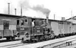 99 5611 (Henschel, Baujahr 1903) rangiert im Bahnhof Barth. Gebaut wurde die Lok für die meterspurigen Salzwedeler Kleinbahnen. Diese wurde jedoch in den 1920er Jahren umgespurt, so dass die Lok dort überflüssig wurde. 1928 wurde sie an die Franzburger Kreisbahnen (FKB) verkauft. Hier wurde sie als Nr. 9 in zweiter Besetzung eingeordnet. Bei der FKB bewährte sich die Lok so gut, dass sie selbst noch beim Abbau der Strecke 1970 im Einsatz war. Unter der Betriebsführung der Pommerschen Landesbahnen bekam sie die Nr. 130, bei der Deutschen Reichsbahn ab 1949 die Nr. 99 5611. Nach ihrer Ausmusterung im Jahre 1970 wurde sie drei Jahre später im Bahnbetriebswerk Wernigerode-Westerntor wieder aufgearbeitet und an einen französischen Privatmann verkauft. (19.08.1966) <i>Foto: Gerd Wolff</i>