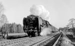 01 2120 "fliegt" mit dem D 925 (Rostock - Dresden) bei Golßen vorbei.  (01.1975) <i>Foto: Karsten Risch</i>