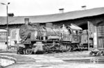 56 384, aufgenommen im Bw Neubrandenburg, gehörte zu den letzten Exemplaren der auf vordere Laufachse umgebauten preußischen G 8.1. Die Lok wurde aus 55 5500 im März 1937 umgebaut, sie trägt einen Kessel ohne Speisedom mit Schlammabscheider. Während die DB ihre letzte Lok (56 241) im Frühjahr 1968 ausmusterte, schaffte es 56 384 noch bis ins Jahr 1970. (1969) <i>Foto: Robin Fell</i>