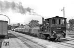 99 5611 rangiert im Bahnhof Barth der Franzburger Kreisbahnen (FKB). Gebaut wurde die Lok für die meterspurigen Salzwedeler Kleinbahnen. Diese wurde jedoch in den 1920er Jahren umgespurt, so dass die Lok dort überflüssig wurde. 1928 wurde sie an die Franzburger Kreisbahnen (FKB) verkauft. Hier wurde sie als Nr. 9 in zweiter Besetzung eingeordnet. Bei der FKB bewährte sich die Lok so gut, dass sie selbst noch beim Abbau der Strecke 1970 im Einsatz war. Unter der Betriebsführung der Pommerschen Landesbahnen bekam sie die Nr. 130, bei der Deutschen Reichsbahn ab 1949 die Nr. 99 5611. 1970 wurde sie im Bahnbetriebswerk Wernigerode-Westerntor wieder aufgearbeitet und an einen französischen Privatmann verkauft. Der neue Eigentümer setzte die Lok auf der Museumseisenbahn Dunières – St. Agrève ein. Die Lok lief dort bis 1985. Dafür wurden die Wasserkästen verlängert, und das Äußere, wie die Farbe und die Beschilderung, wurde dem französischen Geschmack angepasst. Seit 2010 befand sich die veränderte 99 5611 in einer Halle im Rhônetal. In Portes-les-Valence ist die Sammlung des Monsieur Prévot untergebracht, die aber nicht besichtigt werden kann. (19.08.1966) <i>Foto: Gerd Wolff</i>