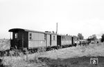 99 5611 mit einem GmP nach Altenpleen im Haltepunkt Flemendorf. (19.08.1966) <i>Foto: Gerd Wolff</i>