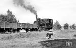 99 5611 an der Wasserentnahmestelle hinter Lassentin. (19.08.1966) <i>Foto: Gerd Wolff</i>