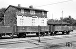 Die offenen Güterwagen Nr. 99-31-53 und 99-31-56 der ehemaligen Franzburger Kreisbahn im Bahnhof Altenpleen. (19.08.1966) <i>Foto: Gerd Wolff</i>
