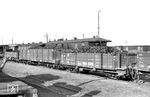 Die hochvoll mit Braunkohlen-Brikett beladenen, ungebremsten OOw 99-44-23 und 97-44-08 im GmP 9201 nach Putbus im Bahnhof Altefähr.  (20.08.1966) <i>Foto: Gerd Wolff</i>
