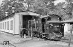 99 4632 ergänzt ihre Wasservorräte in Göhren. (21.08.1966) <i>Foto: Gerd Wolff</i>