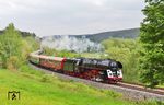 01 0509 mit DPF 1820 (Marienberg - Cheb) bei Rebersreuth kurz vor Adorf (Vogtl). Die Dampflok blieb bis Bad Brambach an der Grenze zu Tschechien am Zug. (20.05.2023) <i>Foto: Joachim Bügel</i>