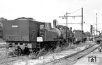 Da ein Schild die Ablagerung von Müll an dieser Stelle des Raw Görlitz verbot, stellte man zweckmäßigerweise die Schrottloks dort ab. 74 1164 war im Januar 1965 ausgemustert worden und diente dem Raw noch eine zeitlang als Dampfspender. Dahinter steht 99 567, die hier ebenfalls auf ihre Zerlegung wartet, die im Juli 1967 erfolgte. 99 5712, die von der Schmalspurbahn Gera-Pforten stammte, wartet ebenfalls auf ihr endgültiges Schicksal, das mit ihrer Zerlegung im April 1967 folgte. (23.08.1966) <i>Foto: Klaus Kieper, Slg. Holzborn</i>