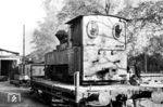 Die Pionierlok 01 der Stadt Cottbus im Raw Görlitz. Die 1918 von LHW Breslau gebaute Heeresfeldbahnlok HF 2257 kam erst nach Ende des Ersten Weltkriegs zur Auslieferung. Sie kam in ein Demobilisierungslager in Osteuropa, da das weitere Bestehen von Eisenbahntruppen durch den Vertrag von Versailles untersagt war. Die hier versammelten Lokomotiven wurden an Fabriken, Landwirtschaft oder andere Eisenbahnverwaltungen frei verkauft. HF 2257 blieb wahrscheinlich in Polen und wurde gegen Ende des 2. Weltkriegs nach Deutschland zurückgeführt. Kurzzeitig wurde sie bei der Waldeisenbahn Muskau eingesetzt, Jahre 1946 übernahm das Braunkohlenwerk „Frieden“ in Weißwasser die Brigadelok und setzte sie mit der Nr. 138 als Werklok für den Kohleverkehr zur Verladung zwischen den Mulden A und B und dem Bahnhof Halbendorf ein. Bereits 1954 kam sie zur Pioniereisenbahn nach Cottbus. Von Ende 2013 bis Anfang 2016 erhielt die Maschine eine vollständige Revision, und ist bei der Parkeisenbahn Cottbus weiterhin einsatzfähig zu bewundern. (10.10.1982) <i>Foto: Klaus Kieper, Slg. Holzborn</i>