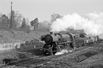 52 4966 vom Bw Wannsee vor einem britischen Militärzug in Berlin-Wannsee. (02.1965) <i>Foto: Horst Deckert</i>