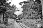 Durch die typischen Kiefern-Küstendünenwälder der Insel Rügen dampft 99 4801 mit P 1266 nach Putbus in der Bahnhofsausfahrt von Göhren (Rügen). (21.08.1966) <i>Foto: Gerd Wolff</i>