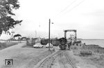 99 545 rangiert an der Wittower Fähre. Zwei Jahre später, am 10. September 1968 wurde der Streckenabschnitt Wittower Fähre (Fährhof)–Altenkirchen stillgelegt, und der einzigartige Schmalspurfährverkehr fand ein Ende. Die Schiffe transportierten ab dann nur noch Fußgänger und Straßenfahrzeuge.  (22.08.1966) <i>Foto: Gerd Wolff</i>