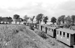 99 545 mit P 843 nach Wittower Fähre in Tribbevitz, 20 km nördlich von Bergen auf Rügen. (22.08.1966) <i>Foto: Gerd Wolff</i>