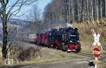 99 7239 passiert mit P 14407 einen Feldweg-Übergang bei Netzkater. Die Harzquerbahn erreichte am 7. Februar 1898 Netzkater. Die Verlängerung von Netzkater bis Benneckenstein wurde am 15. September des Jahres 1898 eingeweiht. (23.02.1990) <i>Foto: Wolfgang Bügel</i>
