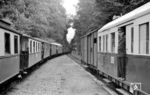 Wie immer verlässt in Heiligendamm zuerst der Personenzug nach Bad Doberan den Kreuzungsbahnhof, während P 4609 nach Ostseebad Kühlungsborn noch warten muss. (24.08.1966) <i>Foto: Gerd Wolff</i>