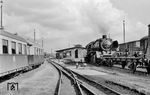50 471 vom Bw Rostock rangiert im Bahnhof Bad Doberan. Links befinden sich die Anlagen der Bäderbahn 'Molli'. (24.08.1966) <i>Foto: Gerd Wolff</i>