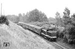 DR 110 036 (Bw Halle G) mit P 17596 bei Wallendorf auf der Strecke Merseburg – Leipzig-Leutzsch. Ende der 1990er Jahre wurde die Strecke stillgelegt. (31.07.1984) <i>Foto: Thomas Fischer</i>