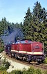 Vor solchen unangenehmen Überraschungen war man auch nicht gefeit: Das "Harzkamel" 199 863 leistet 99 7233 vor P 14407 nach Nordhausen Vorspann bei Elend. (24.02.1990) <i>Foto: Wolfgang Bügel</i>
