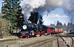 Der Sonderzug mit 99 6001 und 99 7232 erreicht Drei Annen Hohne. Die Werbung für die Wiedereröffnung der Brockenstrecke an 99 6001 zeigte Wirkung. Am 15.09.1991 fuhr der erste Zug nach 30 Jahren Pause wieder zum Brocken. (08.04.1990) <i>Foto: Slg. Wolfgang Bügel</i>