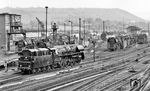01 0510 mit zahlreichen Schwesterloks in ihrem Heimat-Bw Saalfeld (Saale). (1979) <i>Foto: Karsten Risch</i>